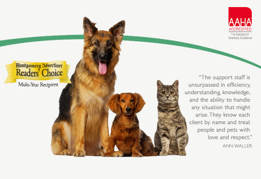 VCA Eastmont Vaughn Animal Hospital veterinary clinic