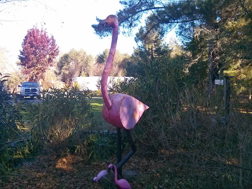 Gift Shop «Rose & Thorn», reviews and photos, 10050 Bodega Hwy, Sebastopol, CA 95472, USA