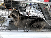 Helios Pest Solutions - Photo 1 - Car repair in , Kissimmee