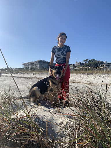 Dog Trainer «Off Leash K9 Training, Charlottesville», reviews and photos, 8782 Seminole Trail, Ruckersville, VA 22968, USA