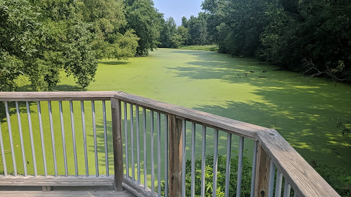 Nature Preserve «Southwood Nature Preserve», reviews and photos, 2651 Holloway Ave E, North St Paul, MN 55109, USA