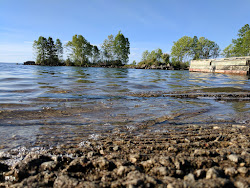 Photo de Silver Harbour zone sauvage