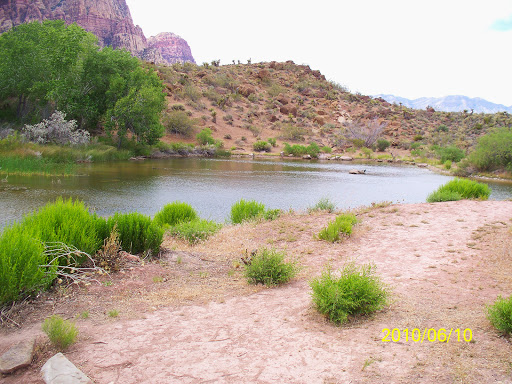National Reserve «Red Rock Canyon National Conservation Area», reviews and photos, 1000 Scenic Loop Dr, Las Vegas, NV 89161, USA