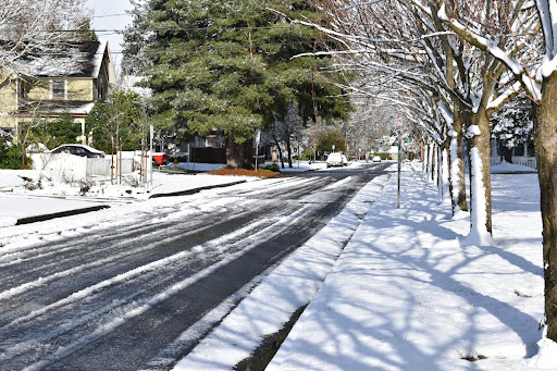 Park «Bagley Park», reviews and photos, 201 NE Jackson St, Hillsboro, OR 97124, USA