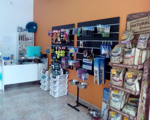 CENTRO VETERINARIO BOLICHE - Veterinario en Las Palmas de Gran Canaria