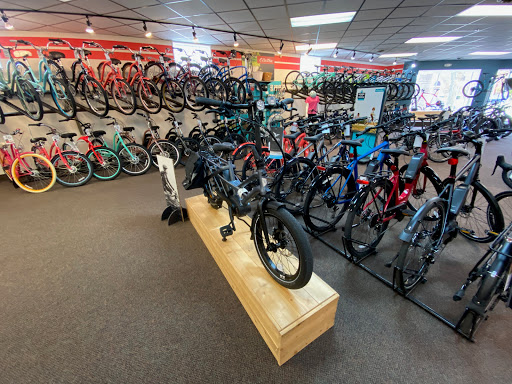 Bicycle Store «American Cycle & Fitness - The Trek Bicycle Stores of Michigan», reviews and photos, 20343 Mack Ave, Grosse Pointe Woods, MI 48236, USA