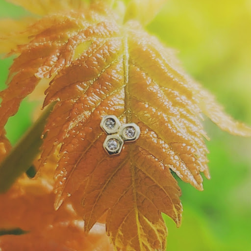 Tattoo Shop «Skin of A Different Color», reviews and photos, 2080 E New York St, Aurora, IL 60502, USA