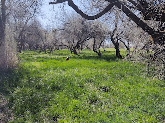 Wilson Creek Park