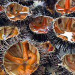 Photo n°1 de l'avis de Ivana.m fait le 04/04/2022 à 11:36 sur le  L’Oasi del Riccio à Fasano