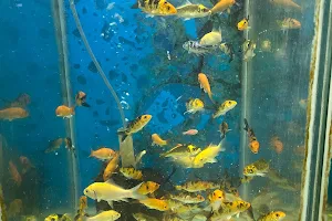 Lokesh Aquarium image