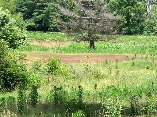 Public Golf Course «Sycamore Hollow Golf & Events», reviews and photos, 1 Fairway Ln, Ashland City, TN 37015, USA