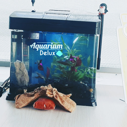 AQUARIUM DELUX