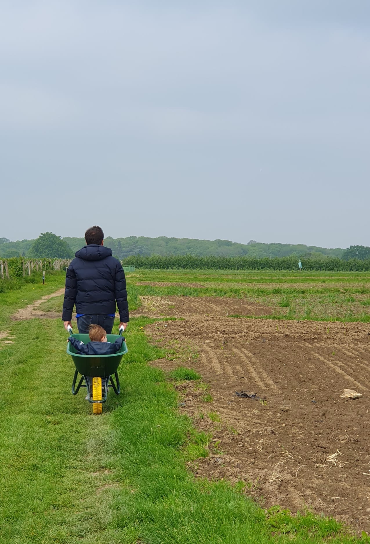 Photo n° 7 de l'avis de Arnaud.o fait le 15/05/2023 à 05:57