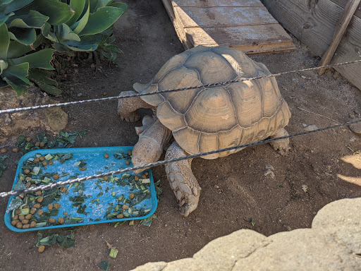 The Teaching Zoo at Moorpark College image
