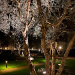 Photo n°1 de l'avis de Matteo.e fait le 08/04/2023 à 10:54 sur le  Albergo Le Terme à Bagno Vignoni di San Quirico d'Orcia