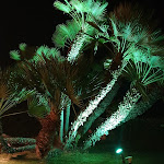 Photo n°6 de l'avis de Jeniya.w fait le 15/10/2020 à 10:05 sur le  Hotel Caparena à Taormina