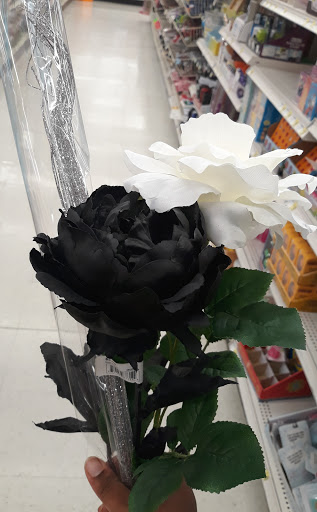 Craft Store «A.C. Moore Arts and Crafts», reviews and photos, 4433 Kirkwood Hwy, Wilmington, DE 19808, USA