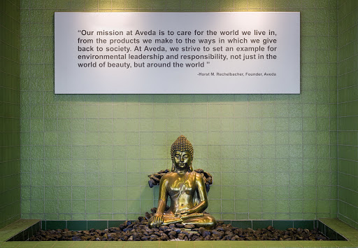 Beauty School «Aveda Institute Houston», reviews and photos, 19241 David Memorial Dr, Shenandoah, TX 77385, USA