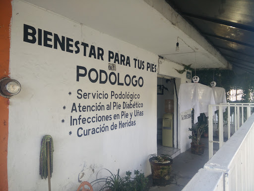 Podólogo Constitución