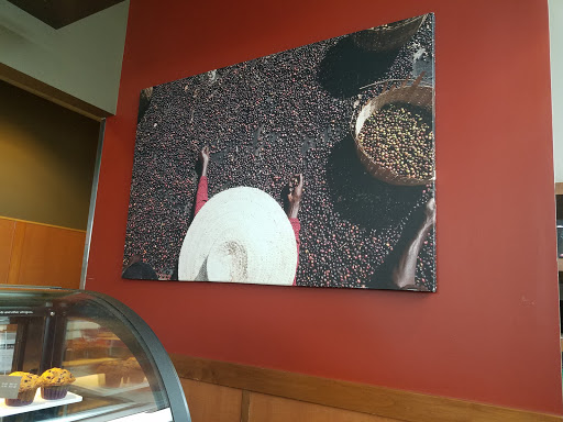 Coffee Shop «Starbucks», reviews and photos, 260 Adams Rd, Rochester Hills, MI 48309, USA