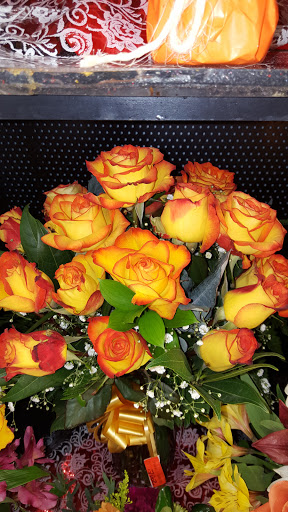 Grocery Store «Winn-Dixie», reviews and photos, 1835 FL-44, New Smyrna Beach, FL 32168, USA