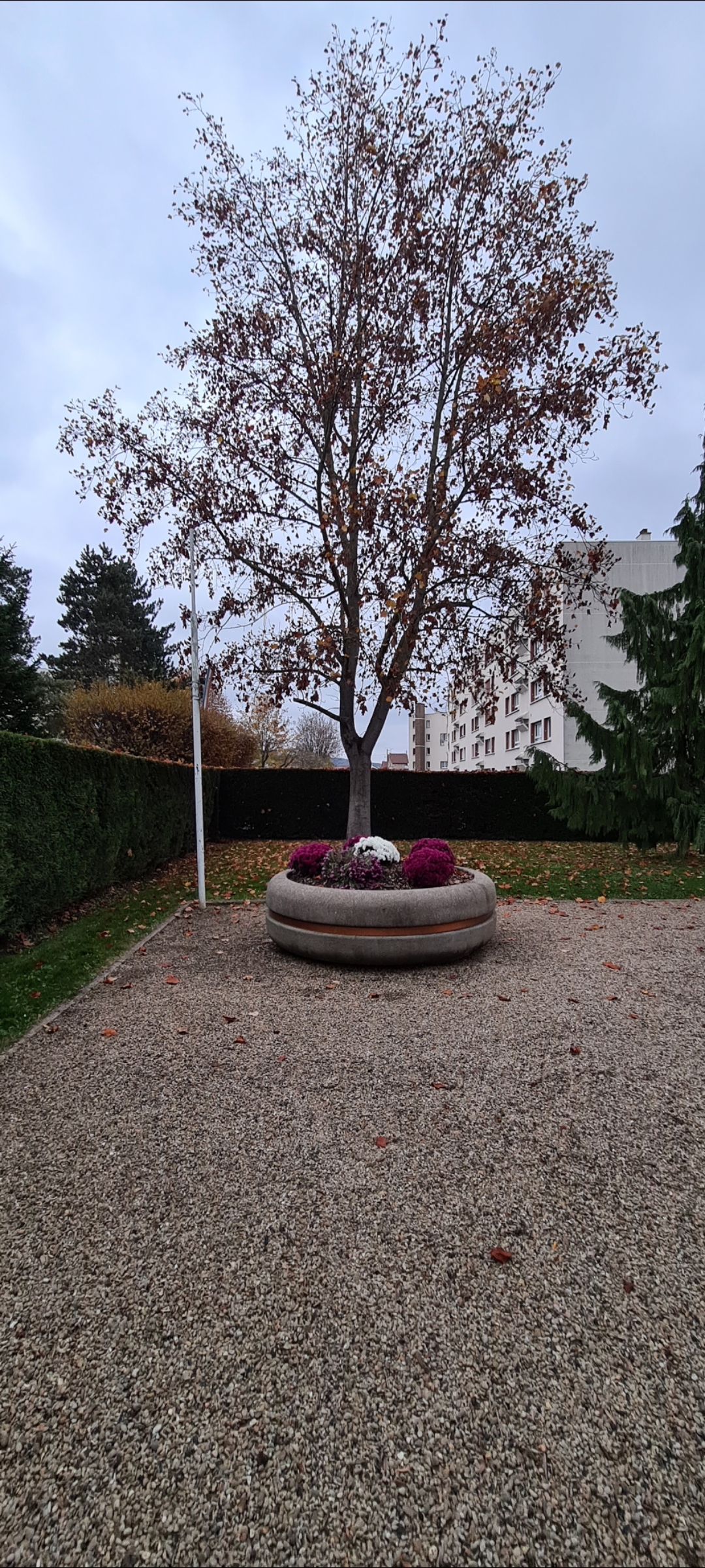 Photo n° 10 de l'avis de Murad. fait le 18/11/2022 à 16:47