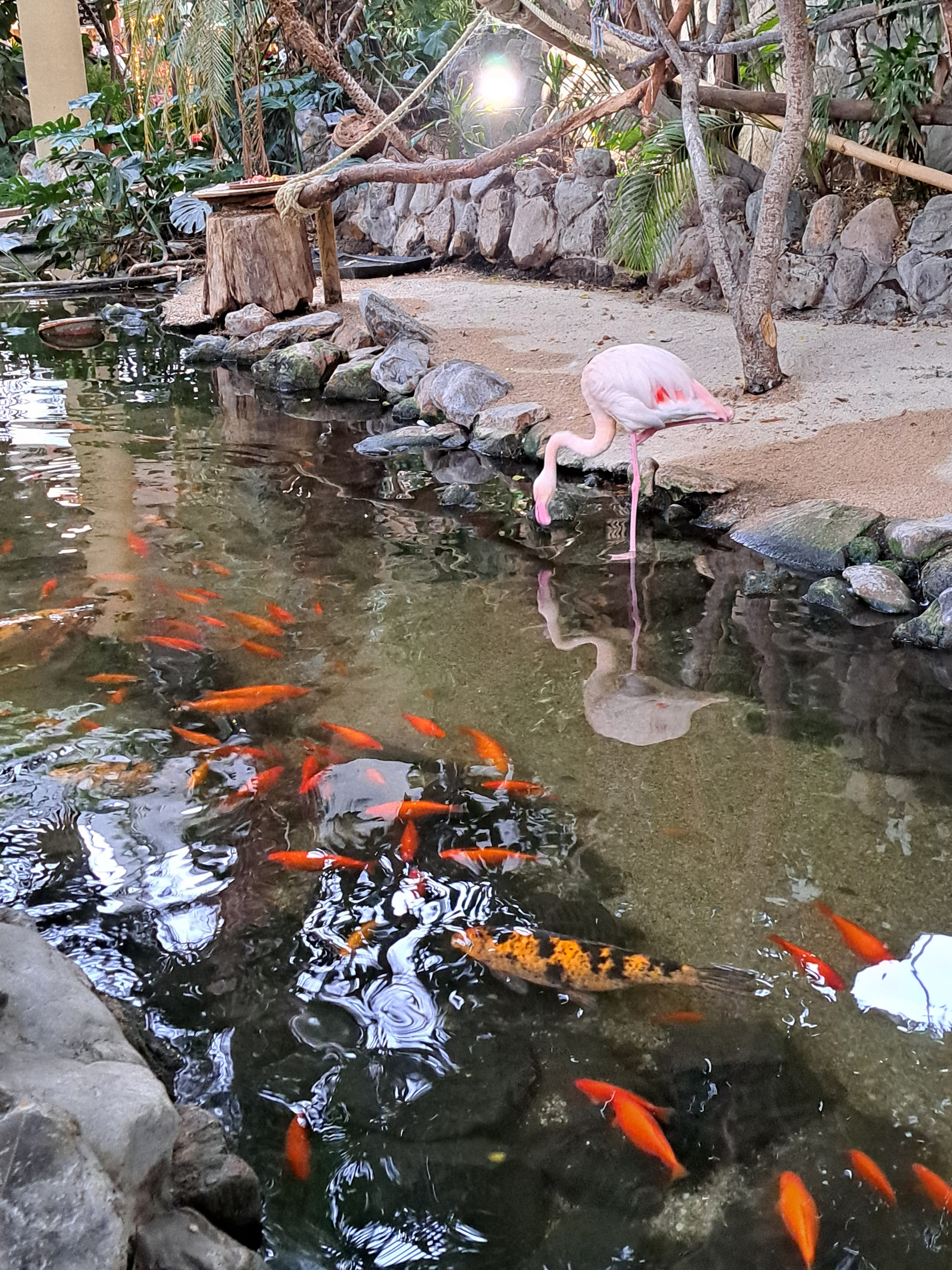 Photo n° 1 de l'avis de moreno.v fait le 19/02/2024 à 20:34