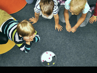 Cours d'anglais pour les 1 à 99 ans- Les Petits Bilingues Amiens