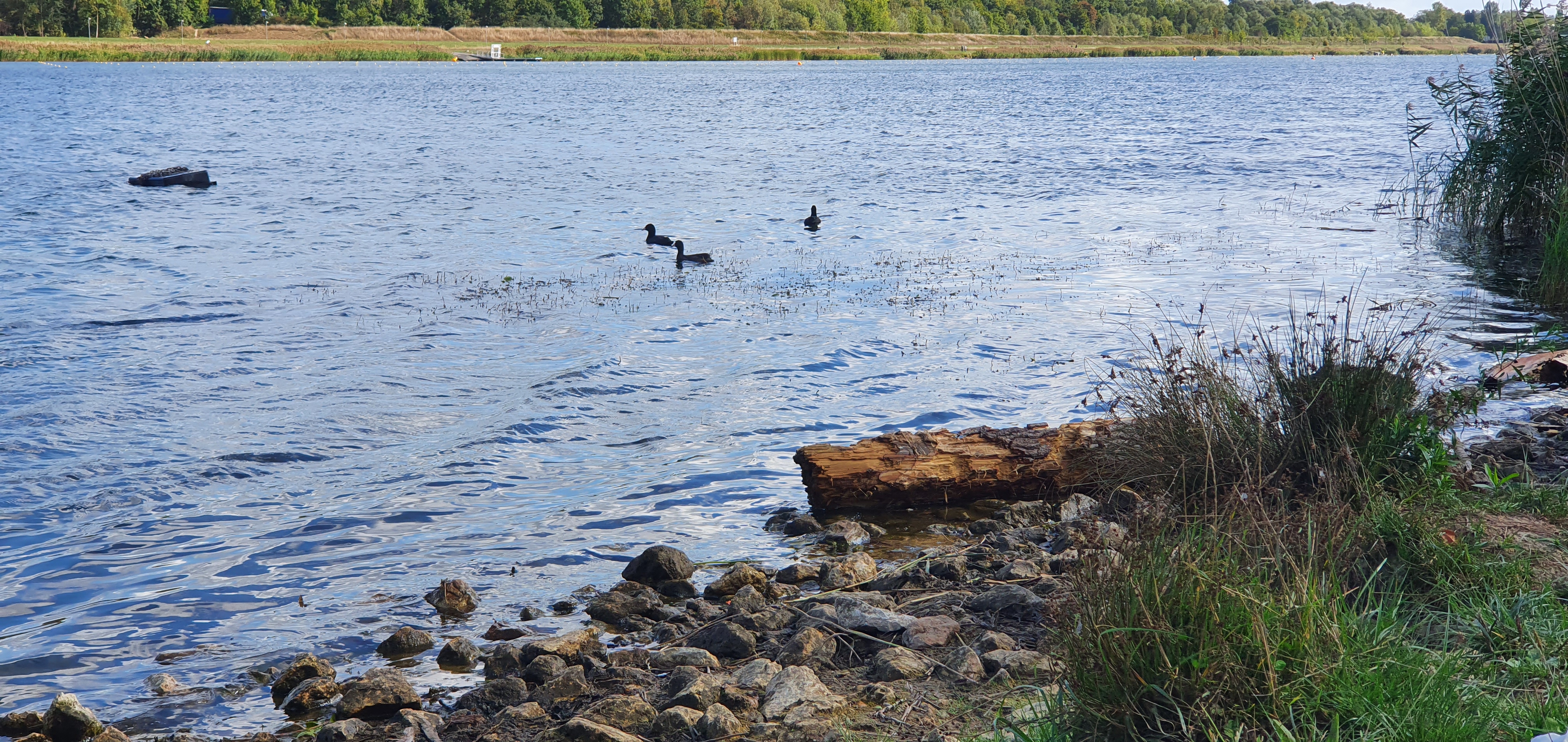 Photo n° 2 de l'avis de Celine.A fait le 17/09/2022 à 12:10
