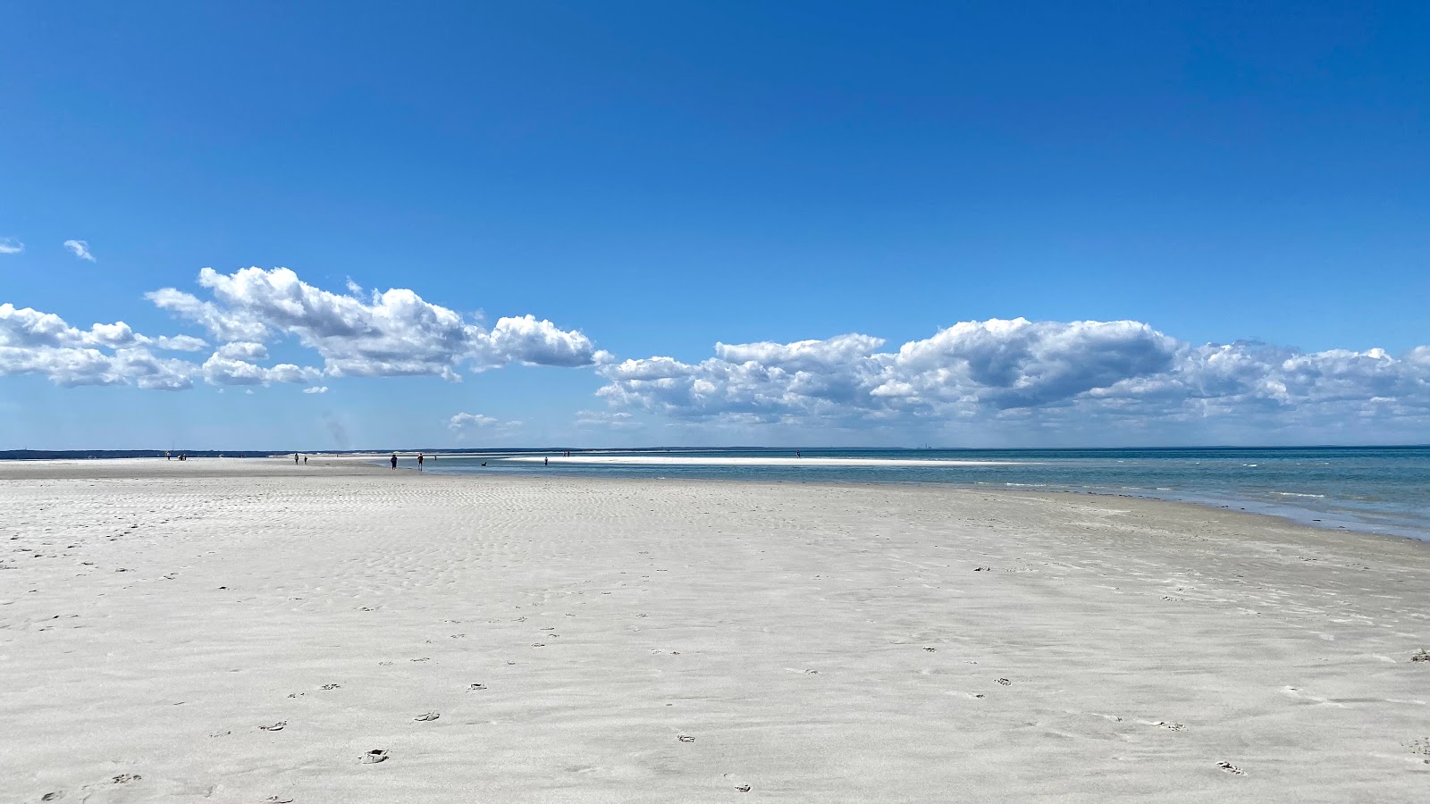 Foto von Chapin Memorial beach mit langer gerader strand