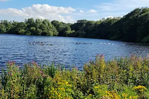Rowley Lake image