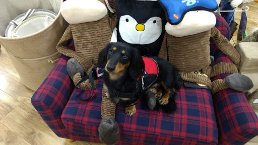 Department Store «Marshalls & HomeGoods», reviews and photos, 3645 Wedgewood Ln, The Villages, FL 32162, USA