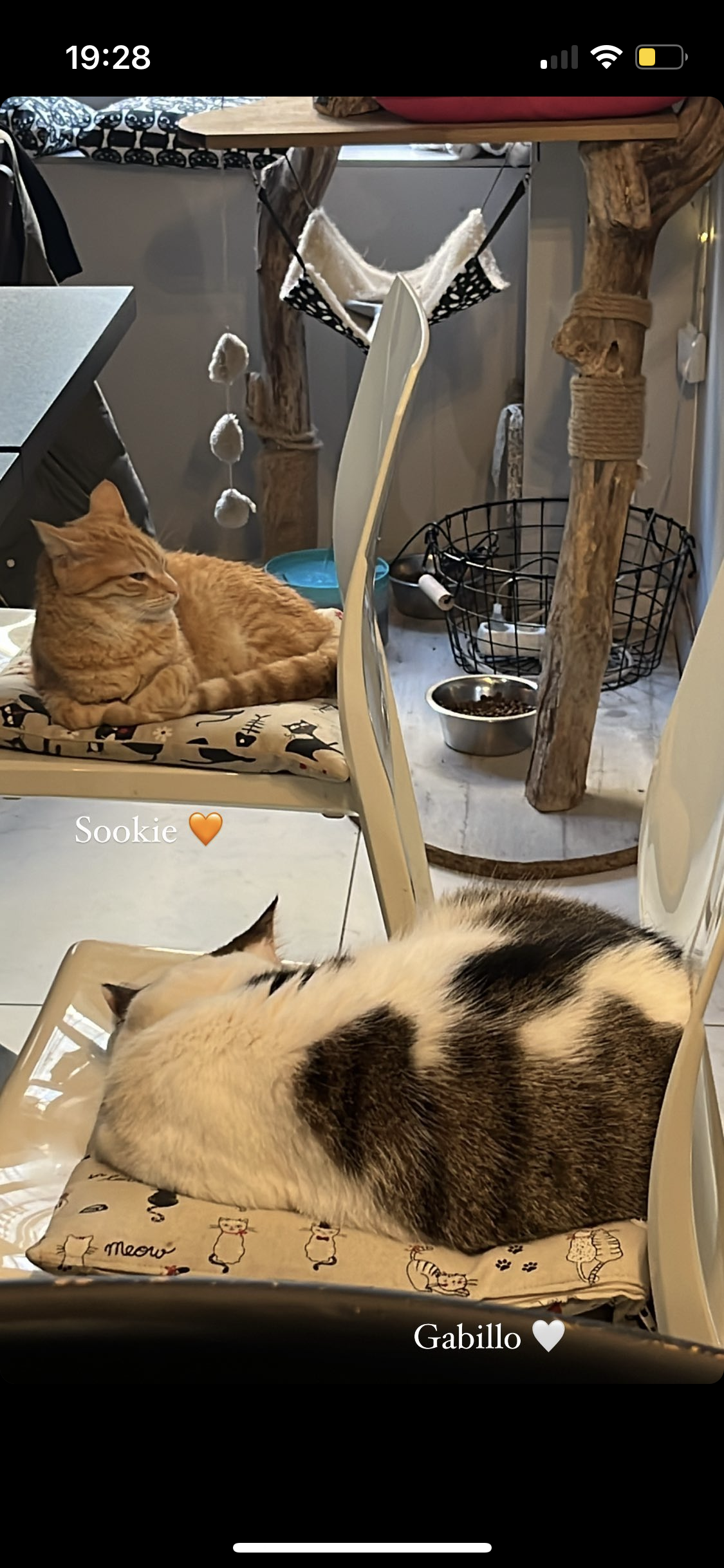 Photo n° 3 de l'avis de Naïs.e fait le 23/02/2024 à 18:30
