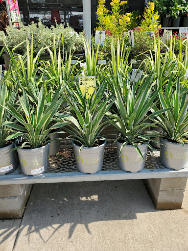 Home Improvement Store «The Home Depot», reviews and photos, 2201 Lakeview Pkwy, Rowlett, TX 75088, USA