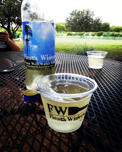 Winery «Fiesta Winery», reviews and photos, 18727 FM 580, Lometa, TX 76853, USA