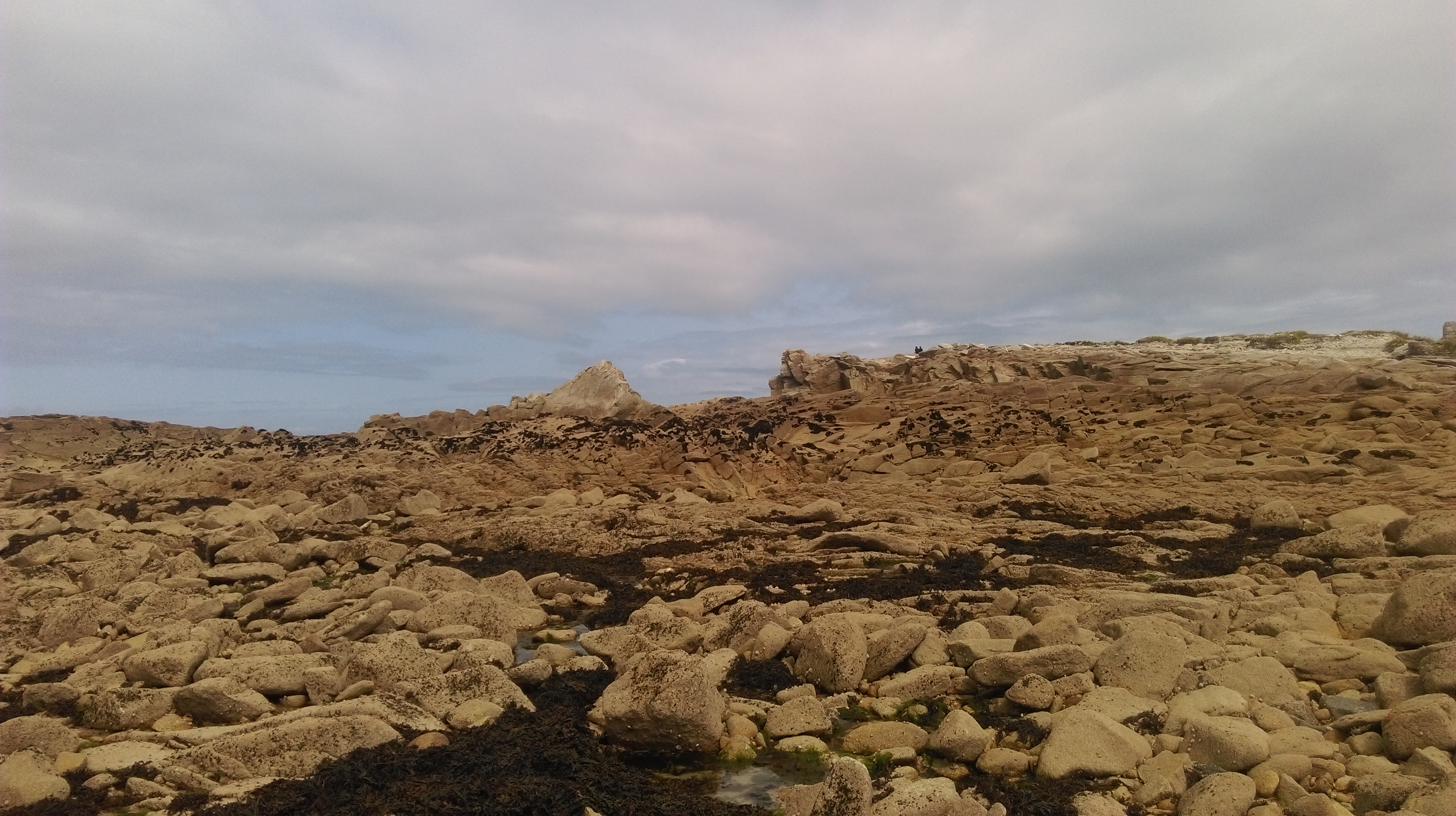 Photo n° 11 de l'avis de Jean-Bernard.a fait le 29/08/2018 à 14:38
