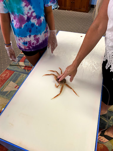 Aquarium «Explore the Ocean World, llc Oceanarium», reviews and photos, 367 Ocean Blvd, Hampton, NH 03842, USA