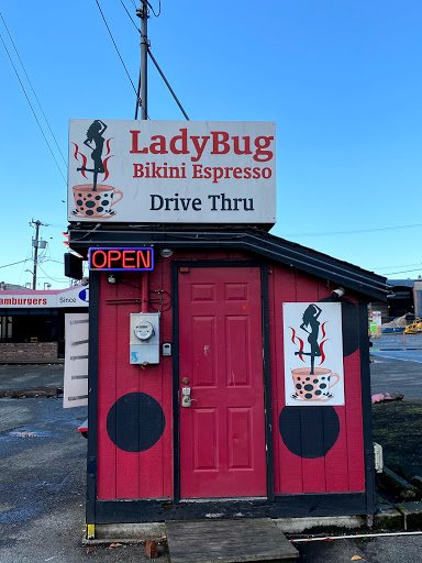 Ladybug Bikini Espresso