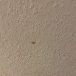 Photo n°1 de l'avis de Tim.4 fait le 01/11/2022 à 19:20 sur le  Hotel Zum Gesundbrunnen à Bad Zwischenahn