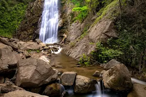 Khun Kon Forest Park image