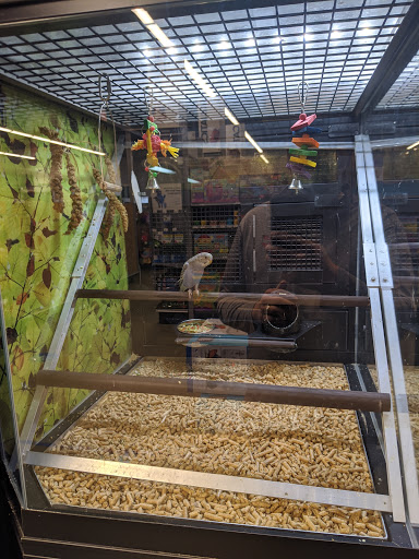 Pet Store «PetSmart», reviews and photos, 11805 Willow Creek Dr, Auburn, CA 95603, USA