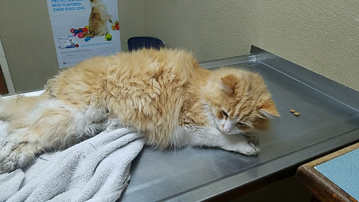 8400 S Eastern Ave, Henderson, NV 89074, USA