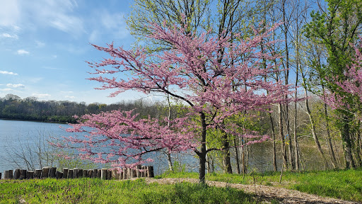 Tourist Attraction «Funky Bones», reviews and photos, 1850 38th St, Indianapolis, IN 46218, USA