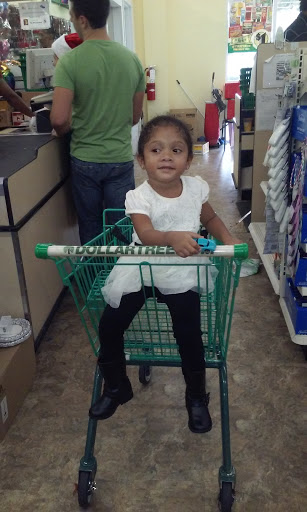 Dollar Store «Dollar Tree», reviews and photos, 945 FL-436 #1145, Altamonte Springs, FL 32714, USA