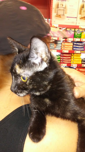 Pet Supply Store «Pet Food Express», reviews and photos, 2158 Contra Costa Blvd, Pleasant Hill, CA 94523, USA