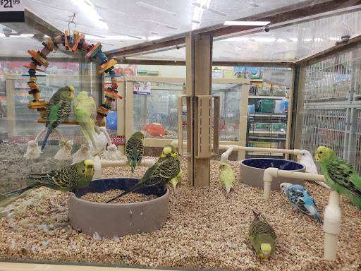 Pet Supply Store «Pet Supermarket», reviews and photos, 1125 Royal Palm Beach Blvd, Royal Palm Beach, FL 33411, USA