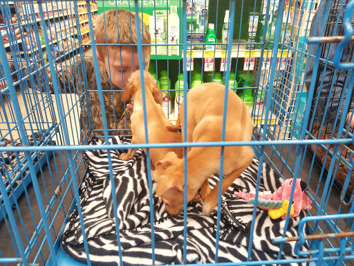 Pet Supply Store «PetSmart», reviews and photos, 1810 Cumming Hwy, Canton, GA 30114, USA