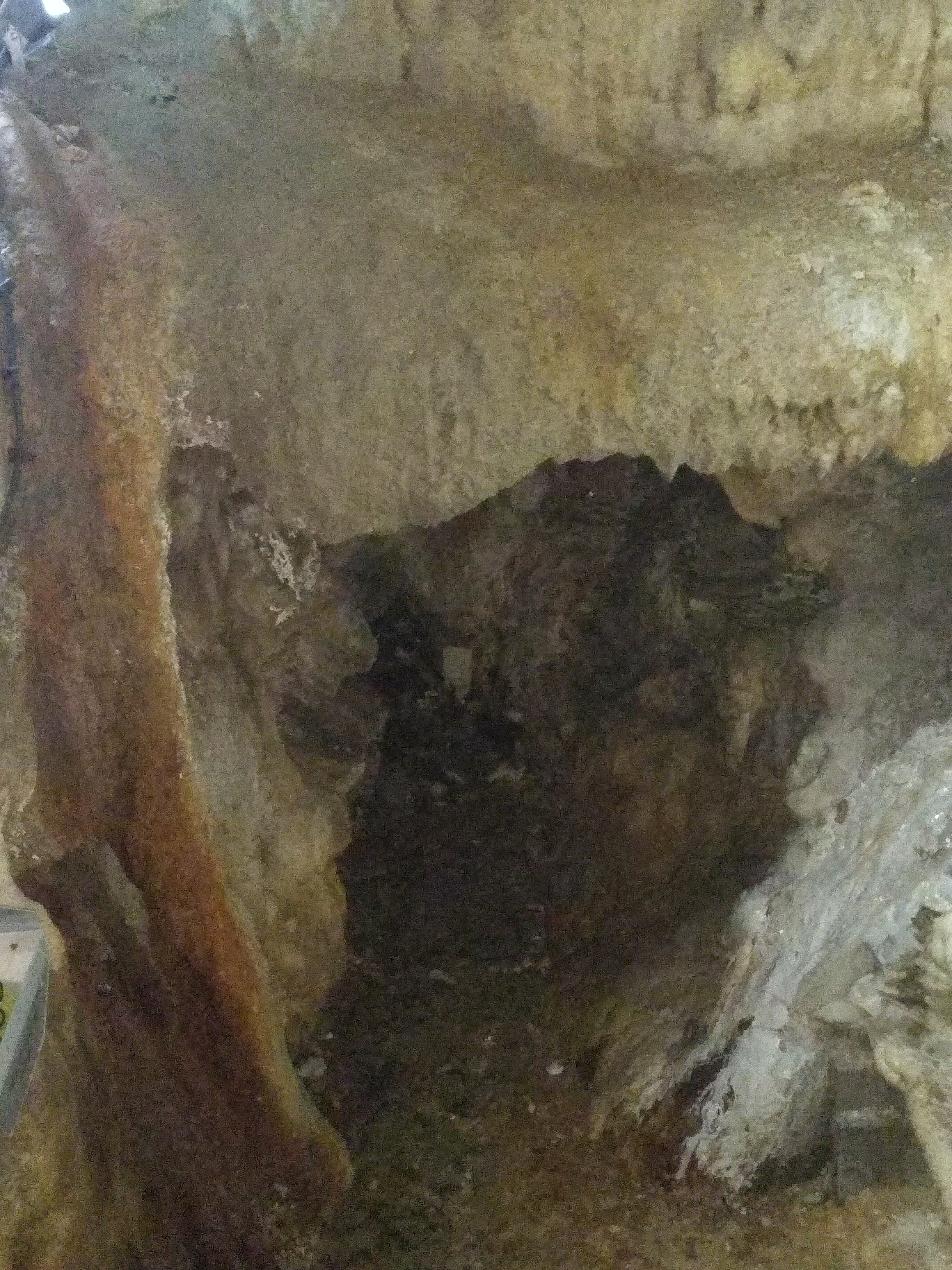 Photo n° 2 de l'avis de Maud.a fait le 21/08/2019 à 14:24