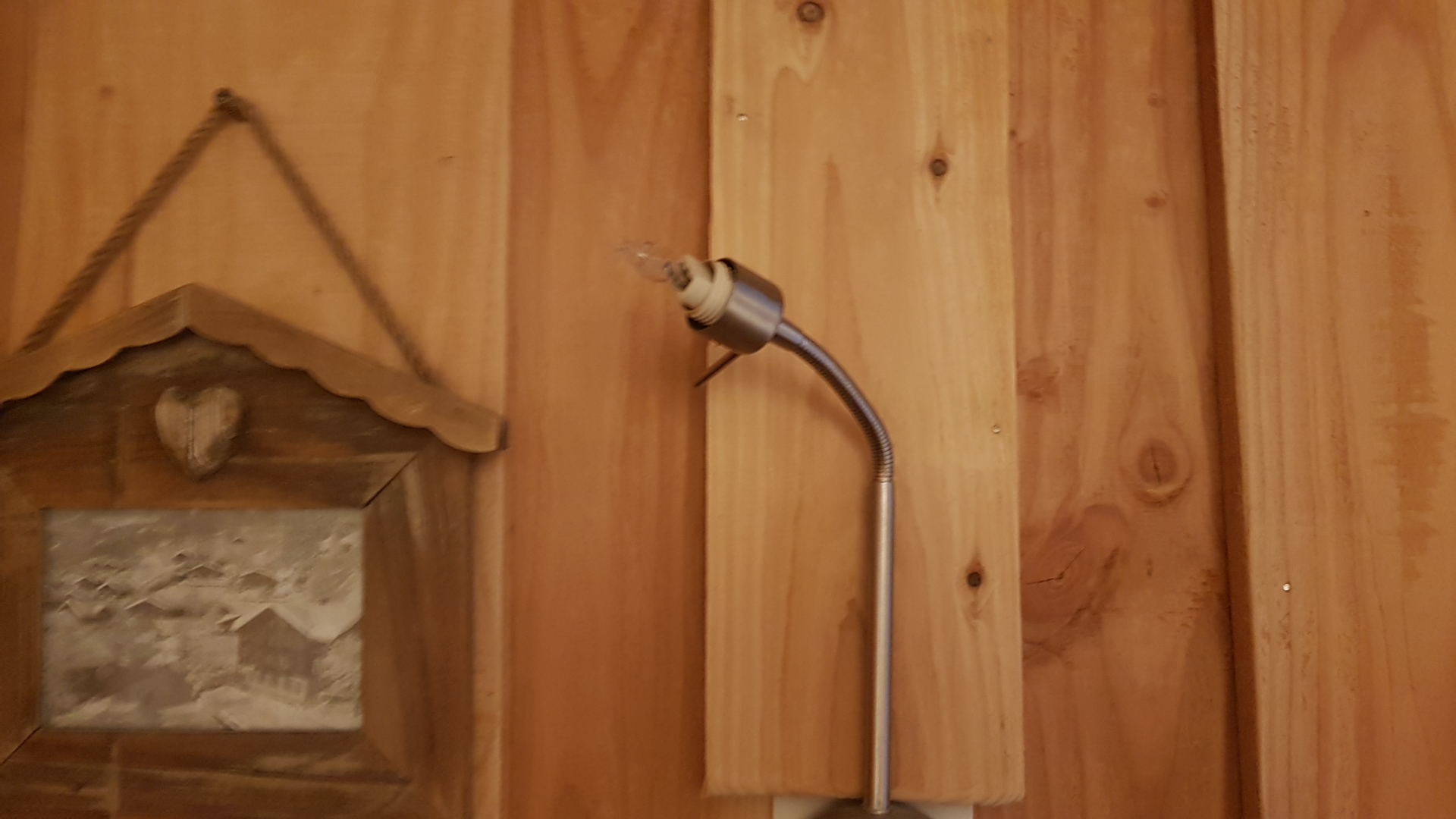 Photo n° 2 de l'avis de lion.a fait le 10/02/2019 à 07:34