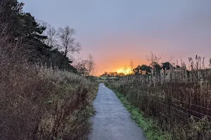 Bothlin Burn Pathway image